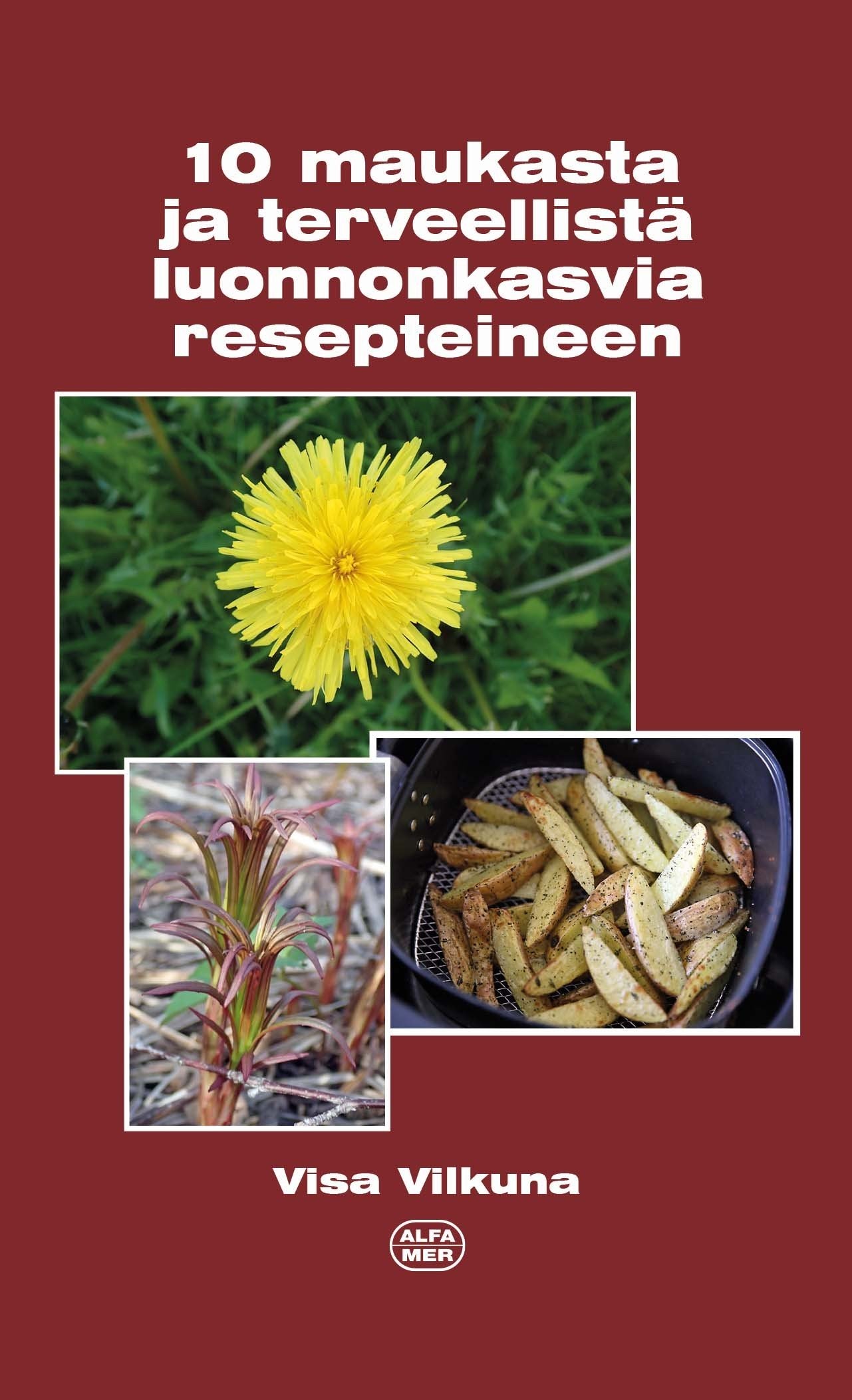 10 tasty and healthy wild plants with recipes