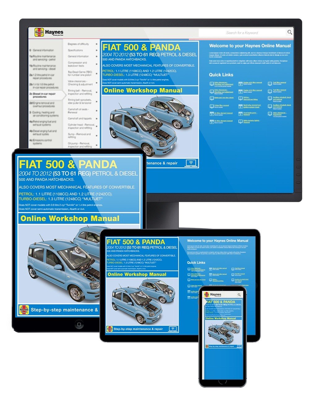 Fiat 500 and Panda Petrol & Diesel (2004-2012) Haynes Online Manual