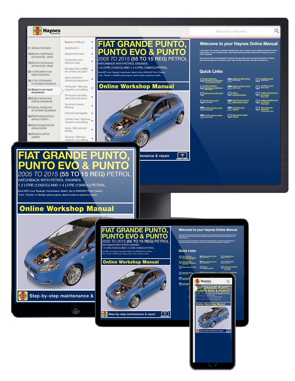 Fiat Grande Punto, Punto Evo and Punto Petrol (06-15) Haynes Online Manual