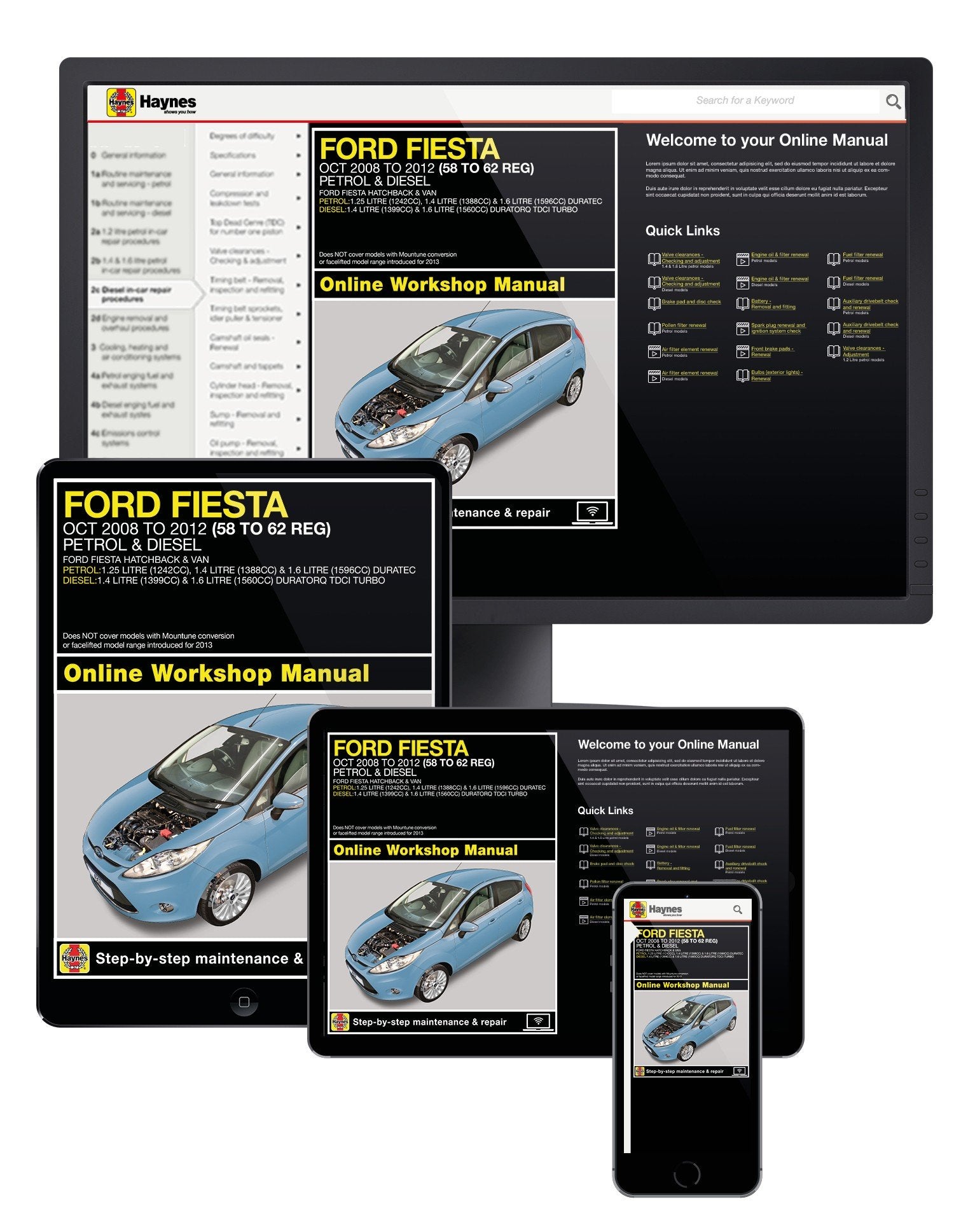 Ford Fiesta Petrol &amp; Diesel (2008-2012) Haynes Online Manual