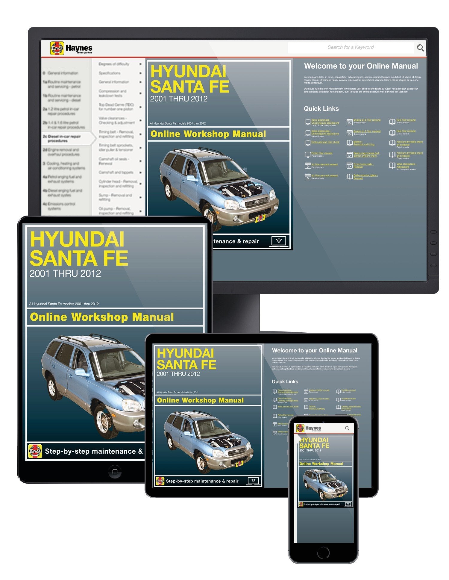 Hyundai Sante Fe (01-12) Haynes Online Manual