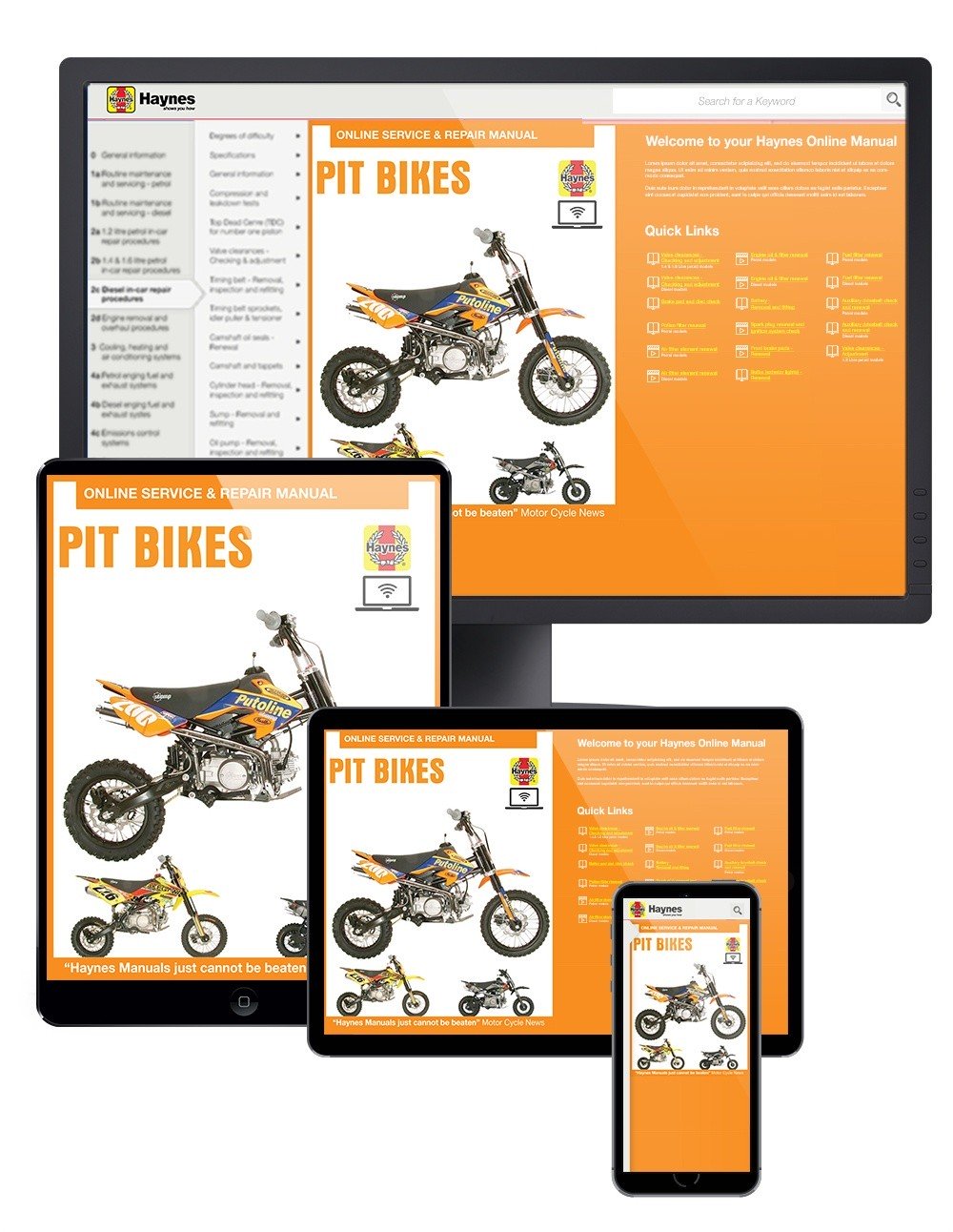 Pit Bikes Lifan & Zongshen Petrol (1990-2016) Haynes Online Manual