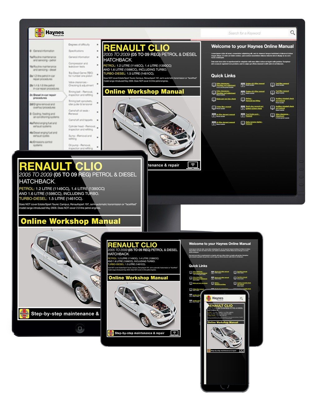 Renault Clio Petrol &amp; Diesel (Oct 2005-May 2009) Haynes Online Manual