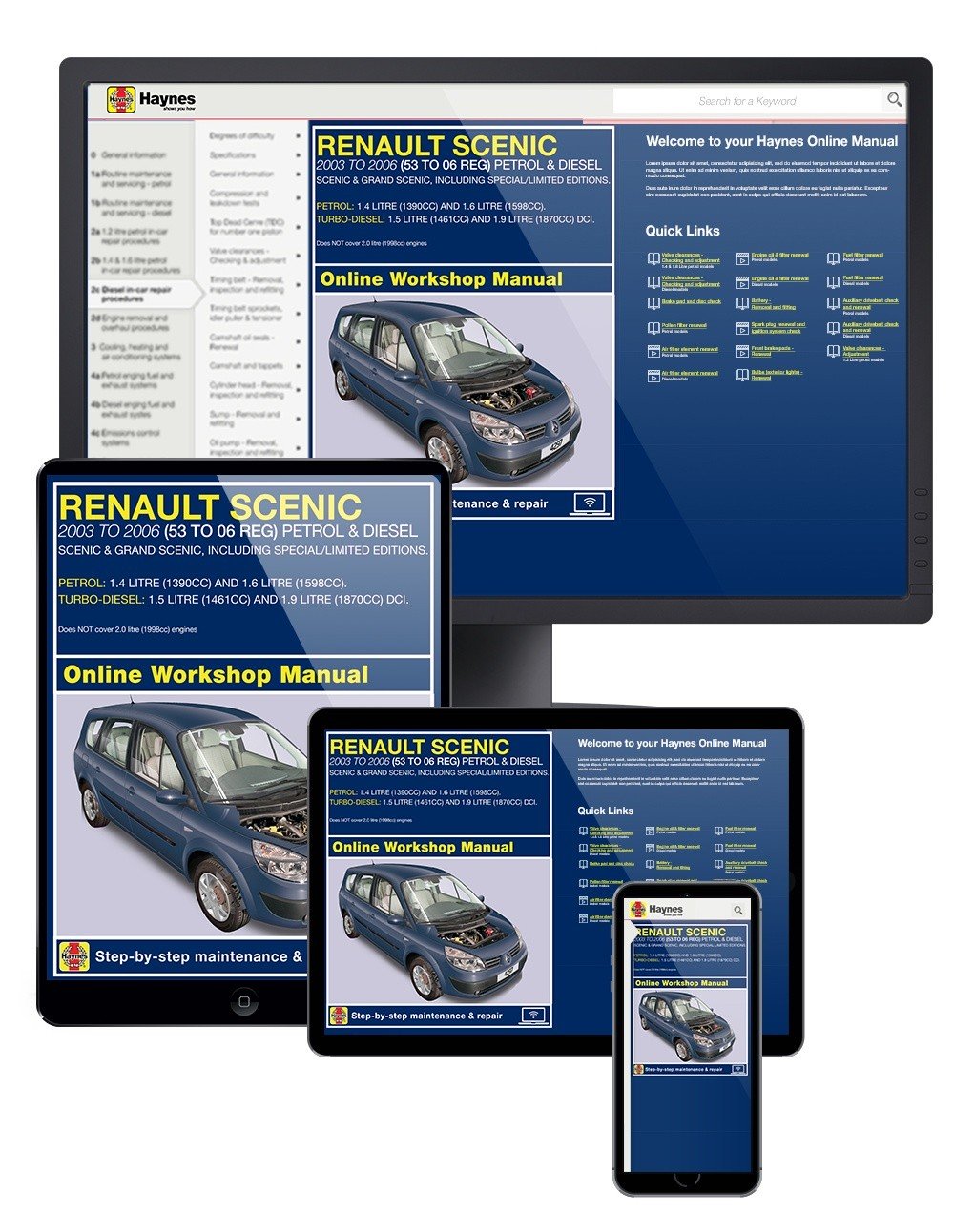 Renault Scenic Petrol &amp; Diesel (Sept 2003-2006) Haynes Online Manual