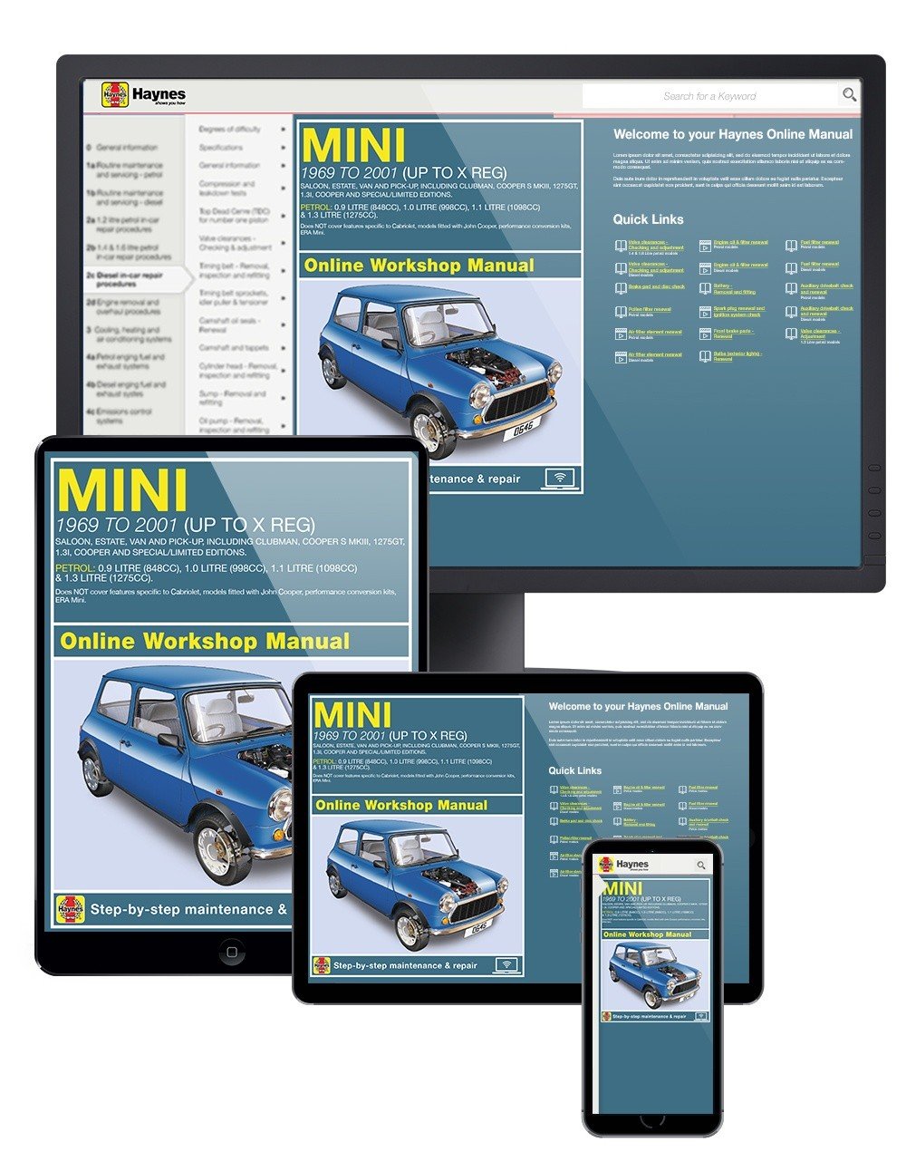 Rover Mini Petrol (1969-2001) Haynes Online Manual