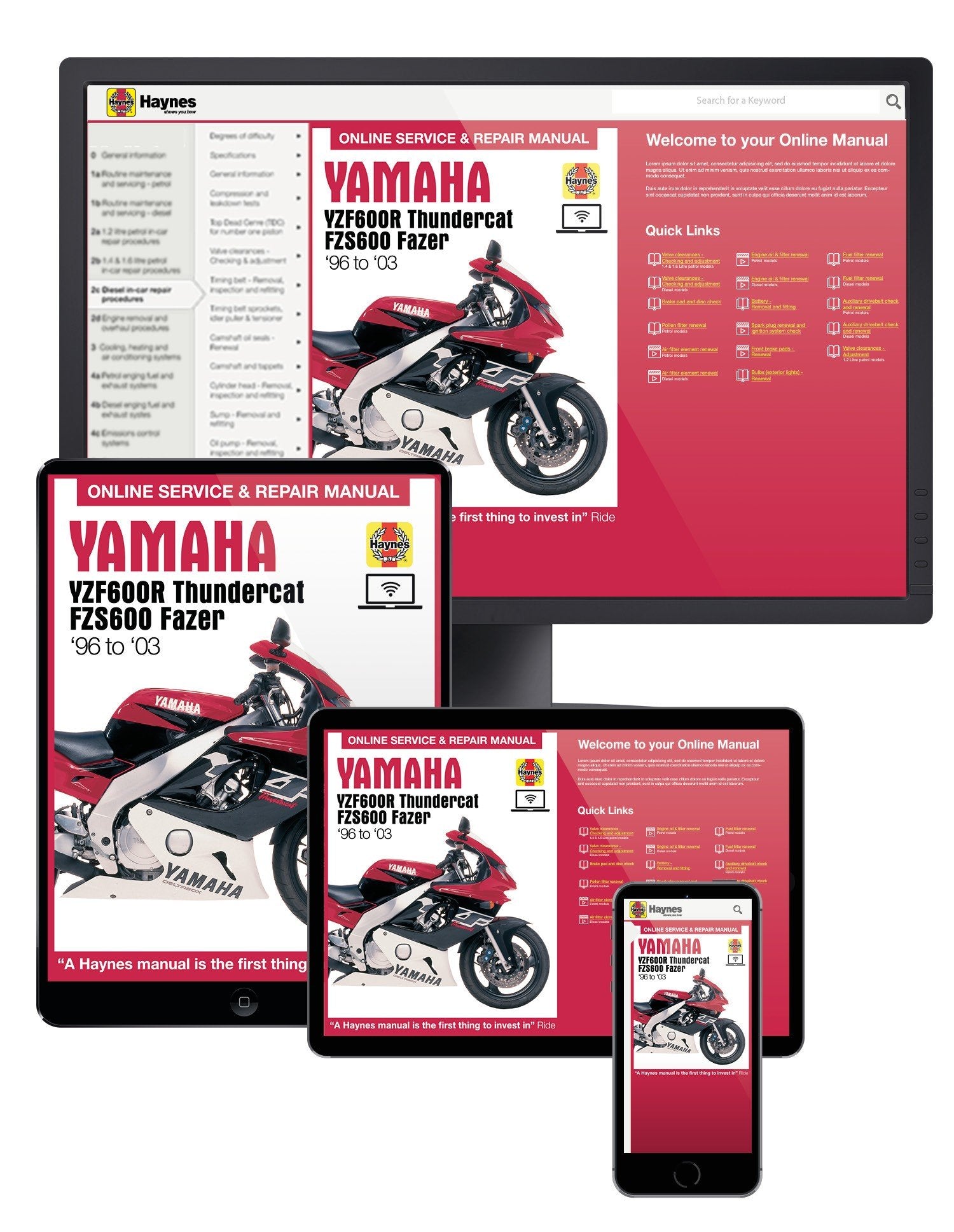 Yamaha YZF600R Thundercat &amp; FZS600 Fazer (96 - 03) Haynes Online Manual